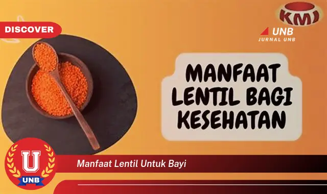 manfaat lentil untuk bayi