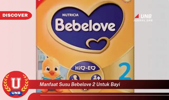 manfaat susu bebelove 2 untuk bayi