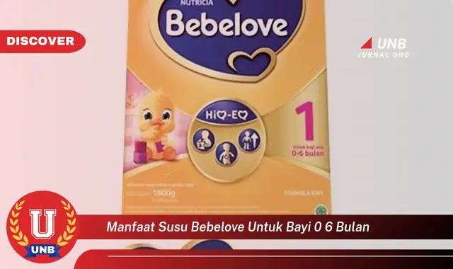 manfaat susu bebelove untuk bayi 0 6 bulan manfaat susu bebelove untuk bayi 0 6 bulan