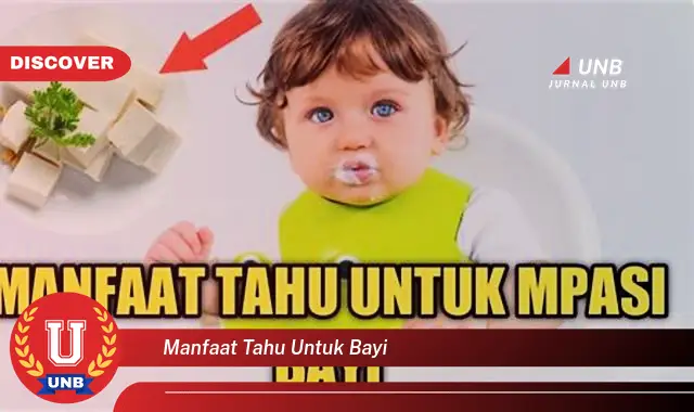 manfaat tahu untuk bayi