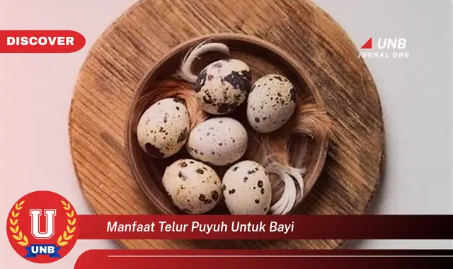 manfaat telur puyuh untuk bayi