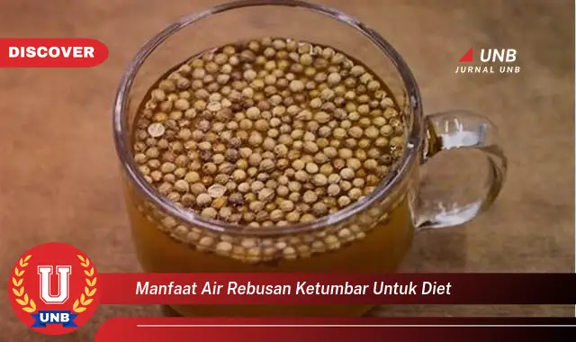manfaat air rebusan ketumbar untuk diet manfaat air rebusan ketumbar untuk diet