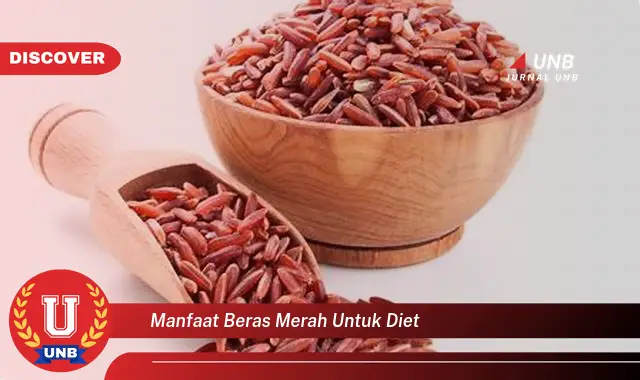 manfaat beras merah untuk diet