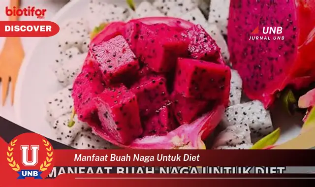 manfaat buah naga untuk diet