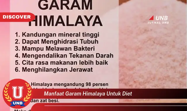 manfaat garam himalaya untuk diet