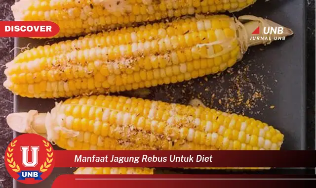 manfaat jagung rebus untuk diet