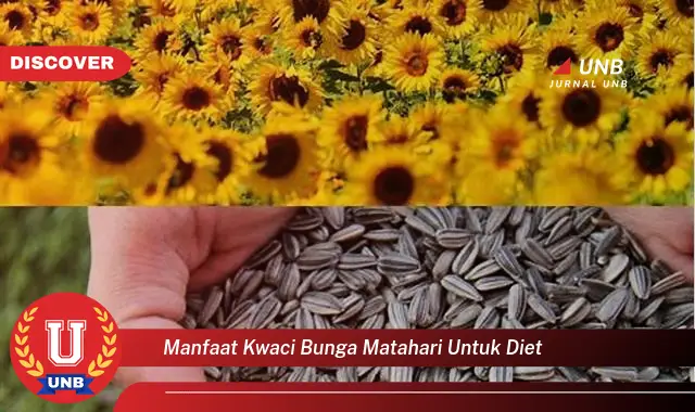 manfaat kwaci bunga matahari untuk diet manfaat kwaci bunga matahari untuk diet