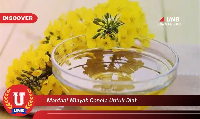 manfaat minyak canola untuk diet