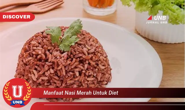 manfaat nasi merah untuk diet