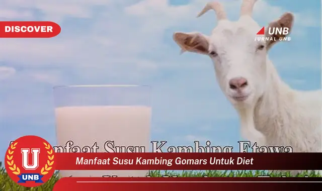 manfaat susu kambing gomars untuk diet
