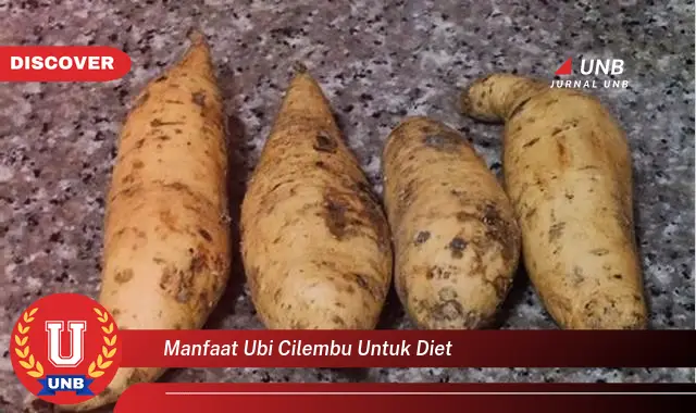 manfaat ubi cilembu untuk diet