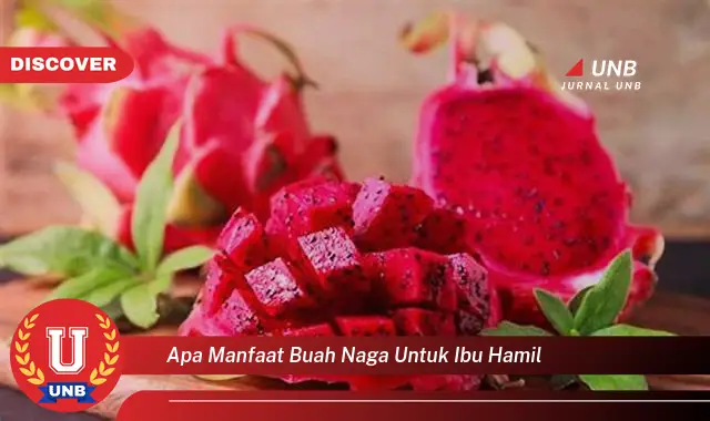 apa manfaat buah naga untuk ibu hamil