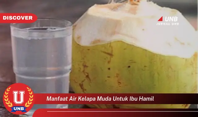 manfaat air kelapa muda untuk ibu hamil manfaat air kelapa muda untuk ibu hamil