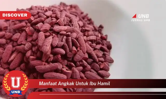 manfaat angkak untuk ibu hamil manfaat angkak untuk ibu hamil