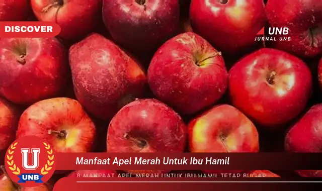 manfaat apel merah untuk ibu hamil