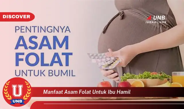 manfaat asam folat untuk ibu hamil