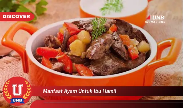 Intip 6 Manfaat Ayam untuk Ibu Hamil yang Bikin Kamu Penasaran