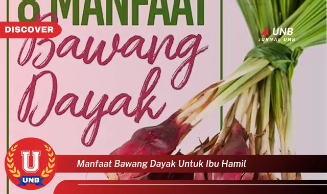 manfaat bawang dayak untuk ibu hamil