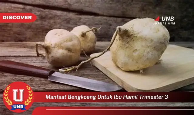 manfaat bengkoang untuk ibu hamil trimester 3