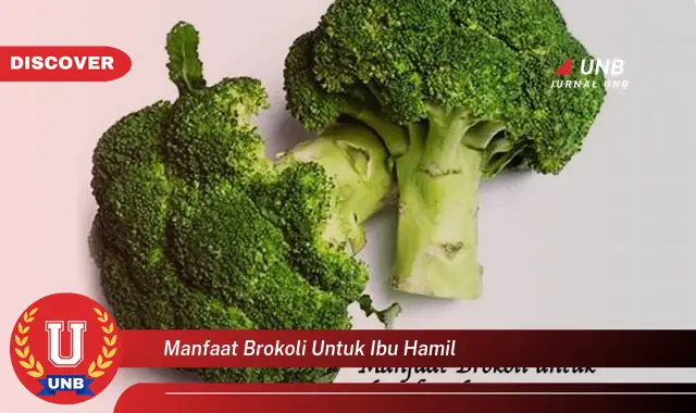 manfaat brokoli untuk ibu hamil