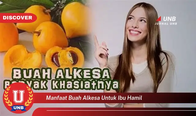 manfaat buah alkesa untuk ibu hamil