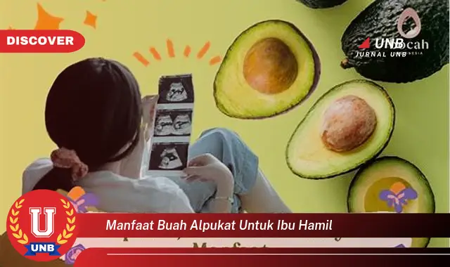 manfaat buah alpukat untuk ibu hamil