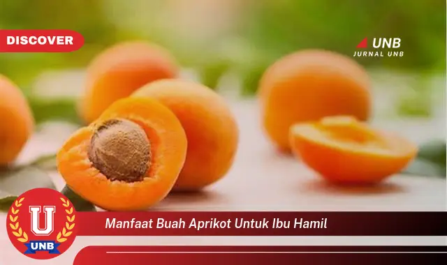 manfaat buah aprikot untuk ibu hamil