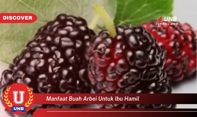 manfaat buah arbei untuk ibu hamil