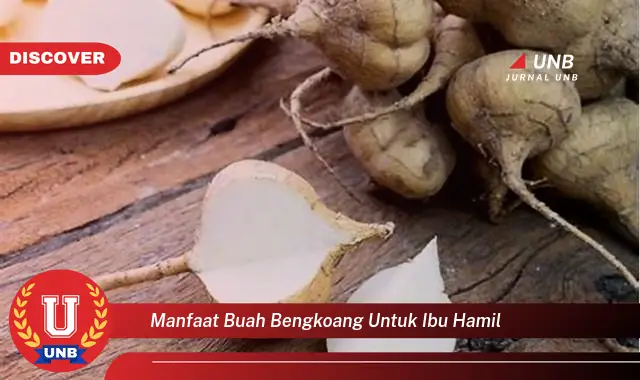 manfaat buah bengkoang untuk ibu hamil