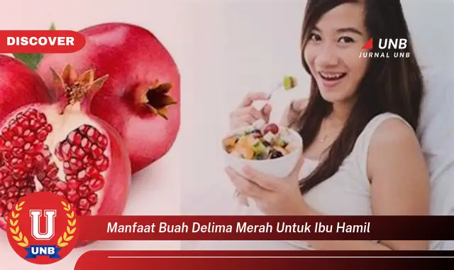 manfaat buah delima merah untuk ibu hamil