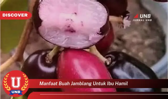 manfaat buah jamblang untuk ibu hamil manfaat buah jamblang untuk ibu hamil