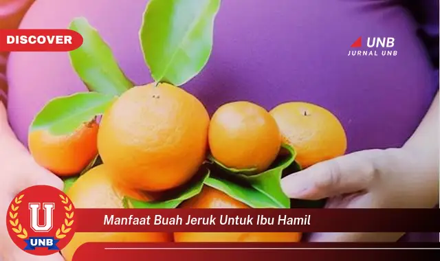 manfaat buah jeruk untuk ibu hamil