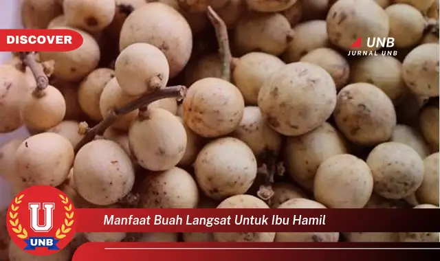 manfaat buah langsat untuk ibu hamil