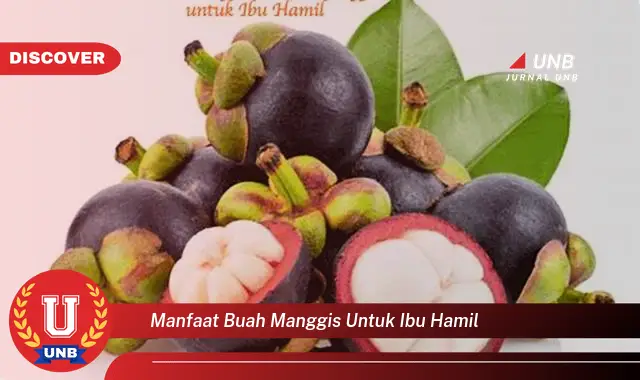 manfaat buah manggis untuk ibu hamil