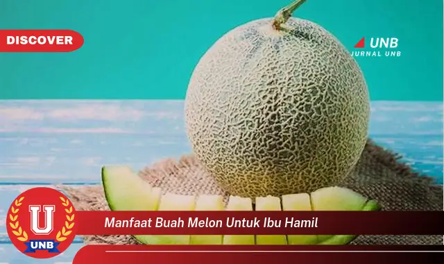 manfaat buah melon untuk ibu hamil