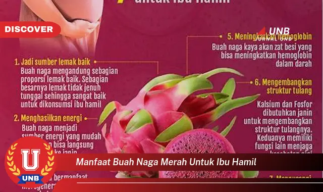 manfaat buah naga merah untuk ibu hamil