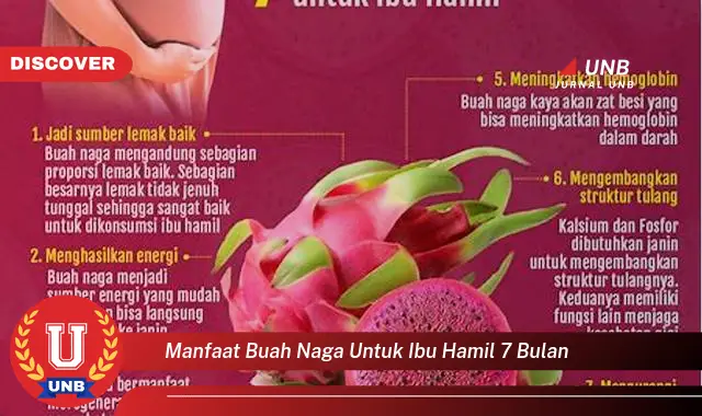 manfaat buah naga untuk ibu hamil 7 bulan