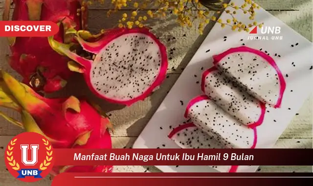 manfaat buah naga untuk ibu hamil 9 bulan