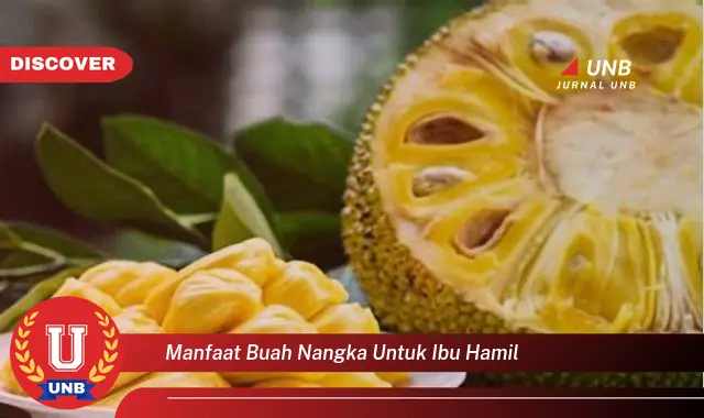 manfaat buah nangka untuk ibu hamil