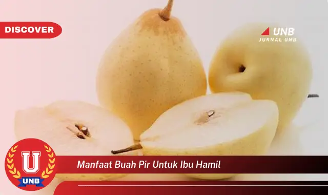 manfaat buah pir untuk ibu hamil manfaat buah pir untuk ibu hamil
