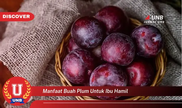 manfaat buah plum untuk ibu hamil manfaat buah plum untuk ibu hamil