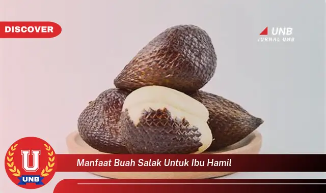 manfaat buah salak untuk ibu hamil manfaat buah salak untuk ibu hamil