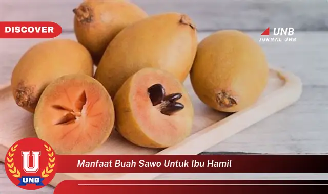 manfaat buah sawo untuk ibu hamil