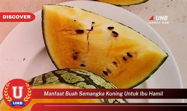 manfaat buah semangka kuning untuk ibu hamil manfaat buah semangka kuning untuk ibu hamil