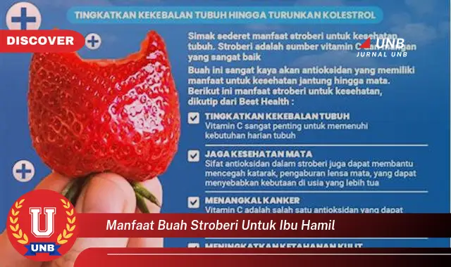 manfaat buah stroberi untuk ibu hamil