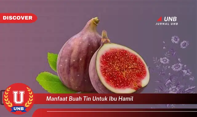 manfaat buah tin untuk ibu hamil