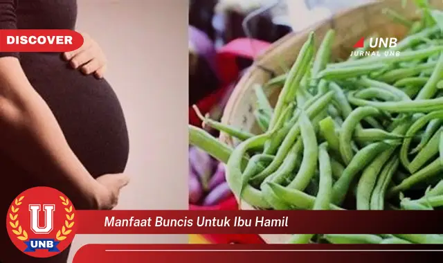 manfaat buncis untuk ibu hamil manfaat buncis untuk ibu hamil