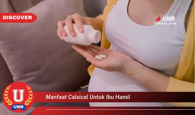 manfaat calsical untuk ibu hamil