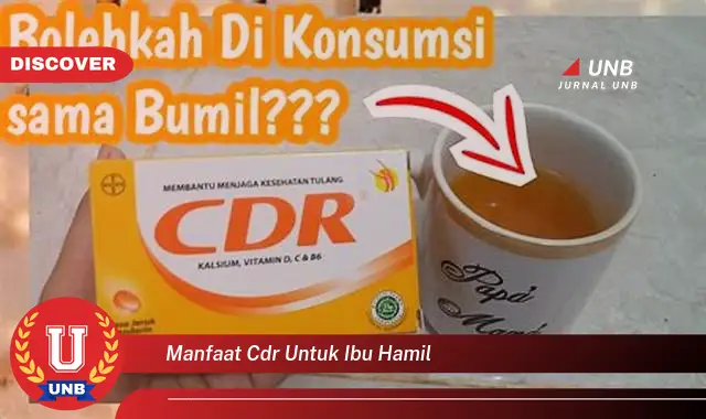 manfaat cdr untuk ibu hamil manfaat cdr untuk ibu hamil