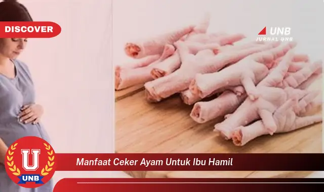 manfaat ceker ayam untuk ibu hamil